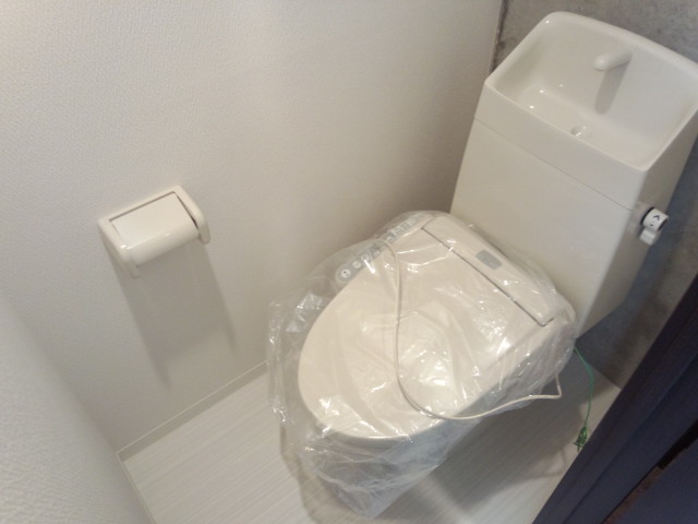 Other. Toilet