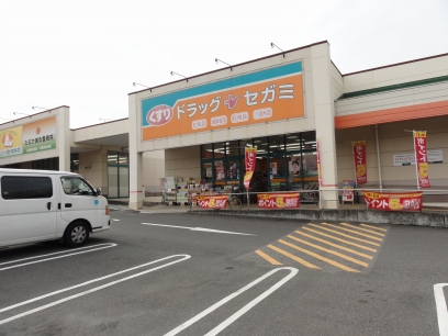 Dorakkusutoa. Drag Segami black soil shop 492m until (drugstore)