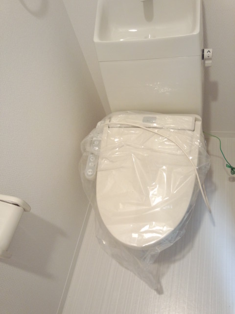 Other. Toilet