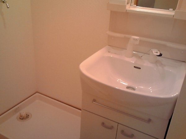 Other. Wash