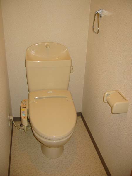 Other. Toilet