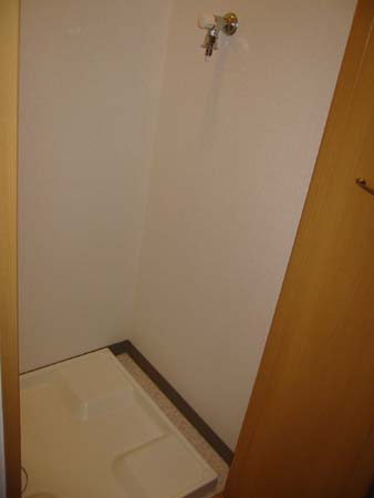 Other. Indoor laundry Storage