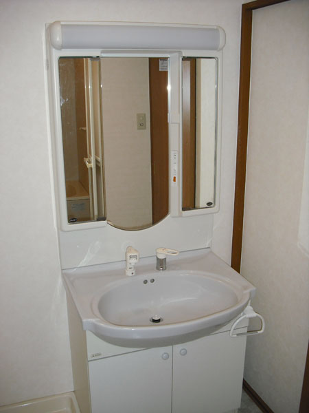 Washroom. There vanity shower