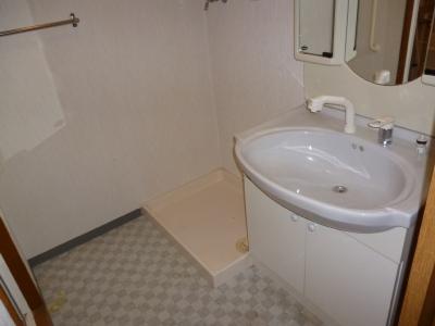Washroom. Indoor Laundry Storage