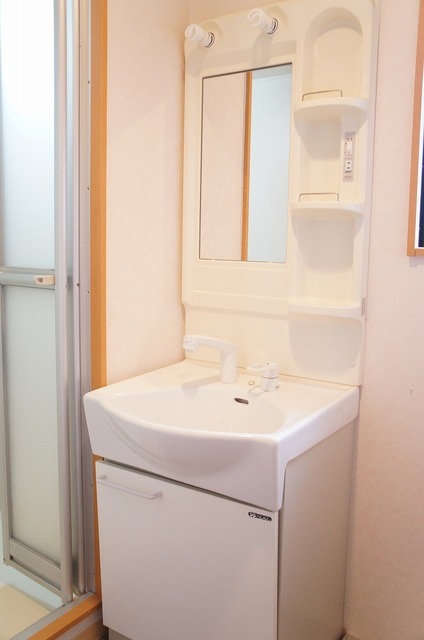 Washroom. Shampoo with Dresser