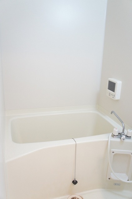 Bath. With TV in the bathroom