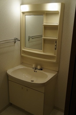 Washroom. Wash basin