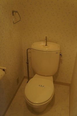 Toilet. Western-style toilet