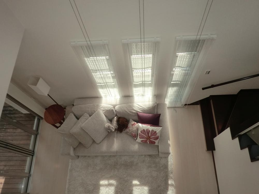 exhibition hall / Showroom. exhibition hall