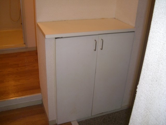 Entrance. Entrance shoes BOX