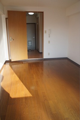 Living and room. Bright room