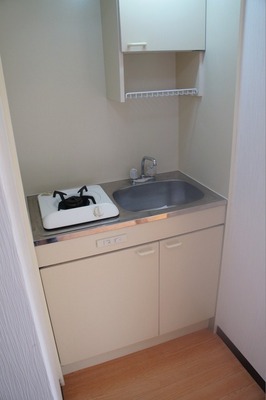 Kitchen. Shiny kitchen