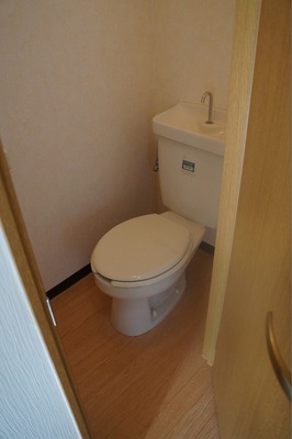 Toilet. Western-style toilet