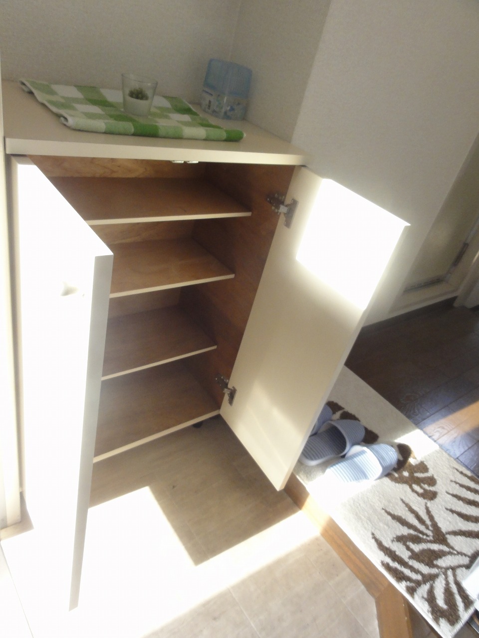 Entrance. Entrance shoes BOX