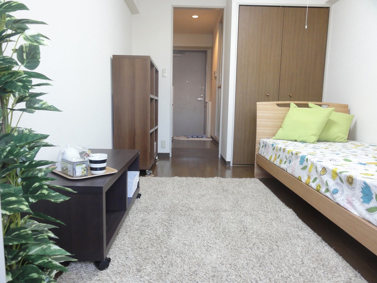 Living and room. Western-style (flooring)