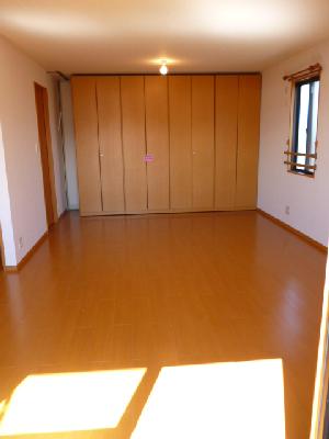 Living and room. Moveable storage partition