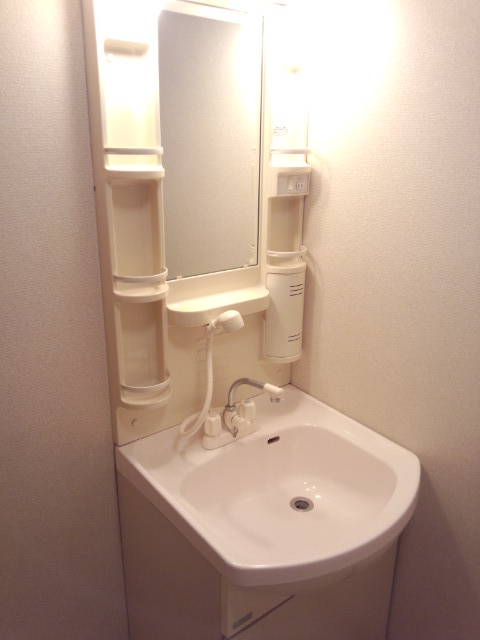 Other. Wash