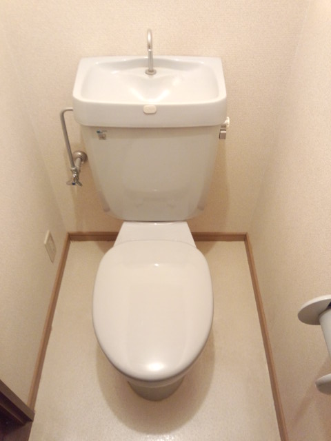Other. Toilet