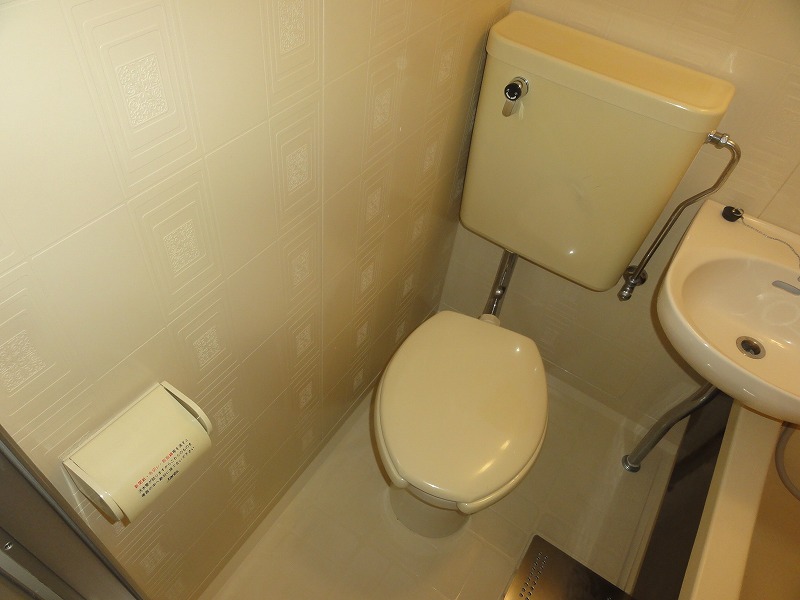 Toilet. Toilet