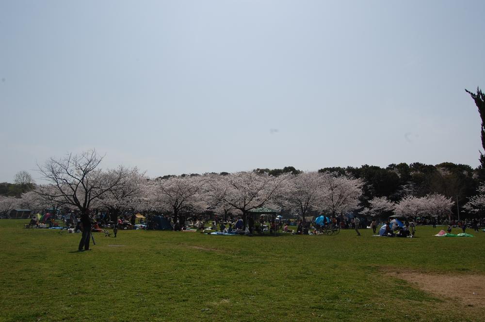 Other Environmental Photo.  ☆ park ☆