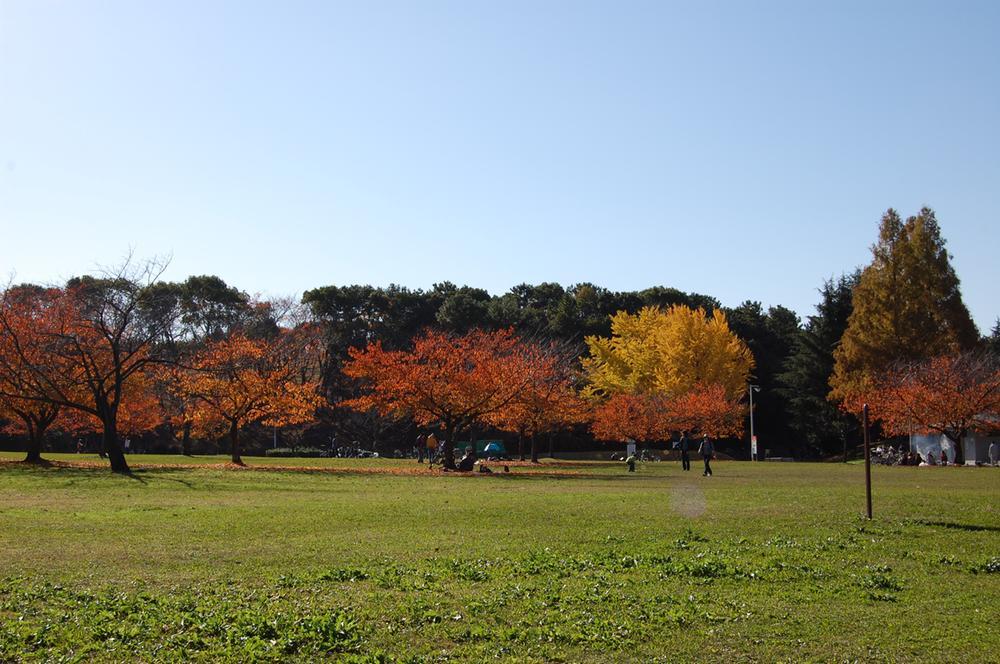park.  ☆ A 1-minute walk from the Oizumi green space ☆