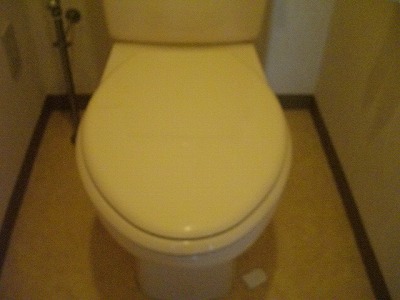 Toilet. Toilet