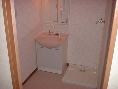 Other. Wash