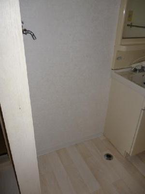 Other. Indoor laundry Storage