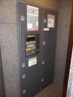 Other. Home delivery locker