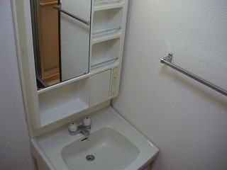 Washroom. Wash basin