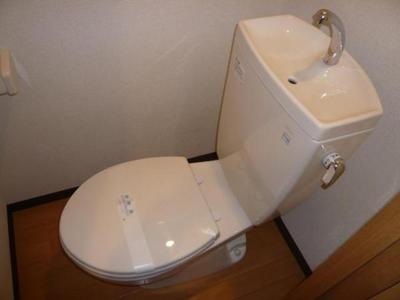 Toilet. Toilet