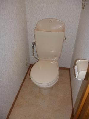 Other. Toilet