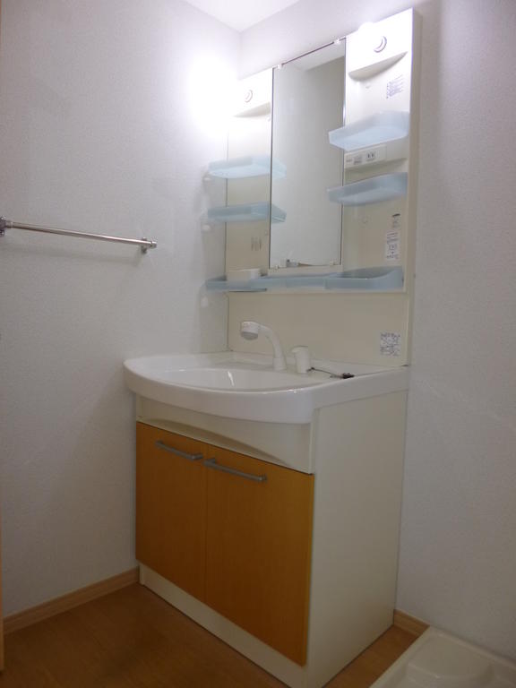 Washroom. Shampoo Dresser