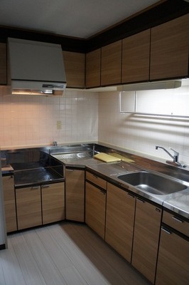 Kitchen. L-shaped kitchen