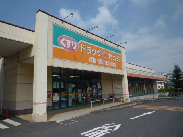 Dorakkusutoa. Drag Segami black soil shop 392m until (drugstore)