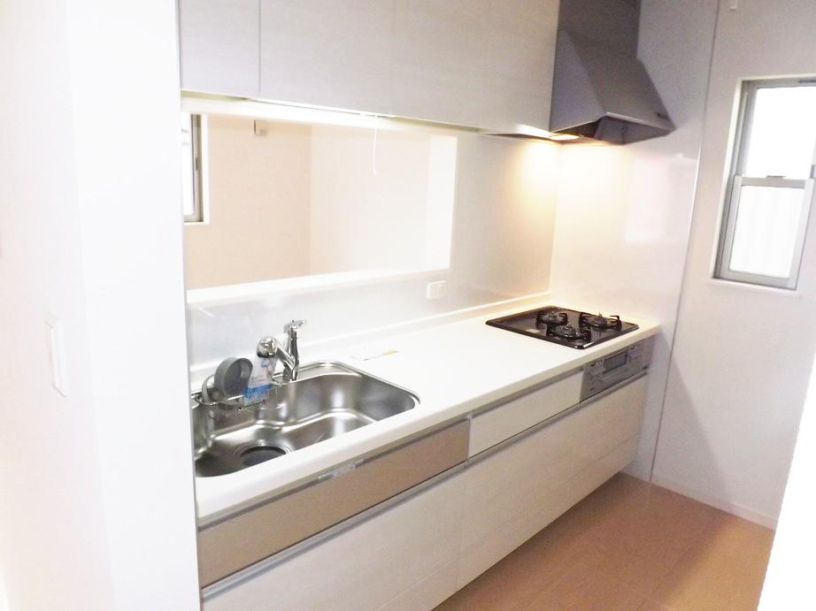 Kitchen. Local photo (kitchen) Water purifier shower faucet!