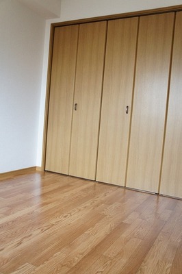 Living and room. Spacious closet