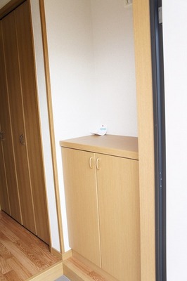 Entrance. With cupboard
