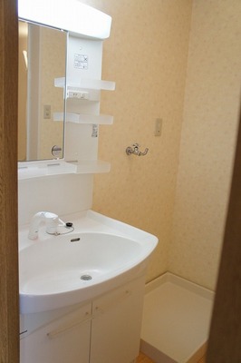 Washroom. Shampoo dot Les Sir
