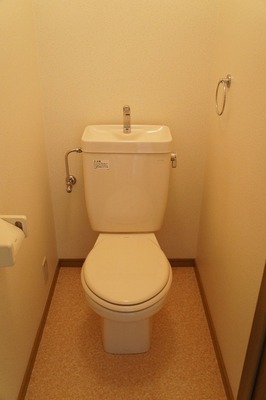 Toilet. Toilet