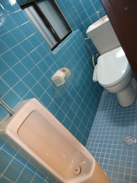 Toilet. Indoor (September 2013) Shooting