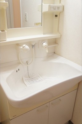 Washroom. Shampoo dresser