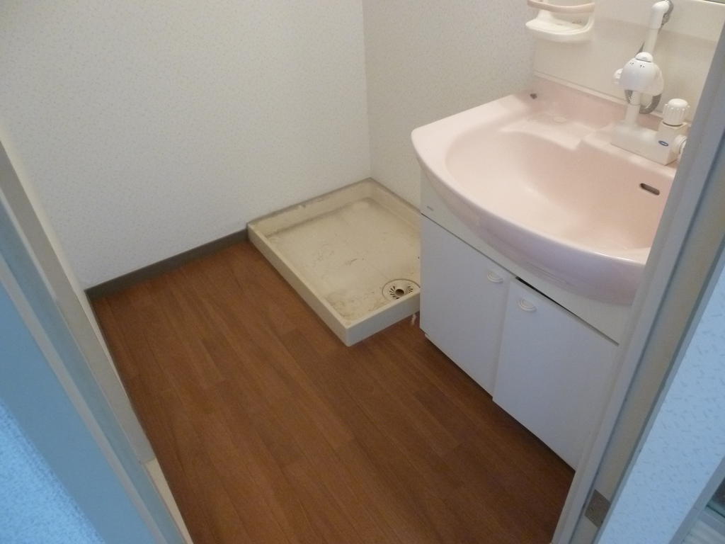 Washroom. Shampoo Dresser & indoor washing machine Storage