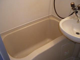Bath. Bathroom (unit bus)