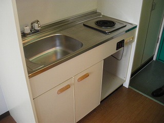 Kitchen. Kitchen (electric stove)