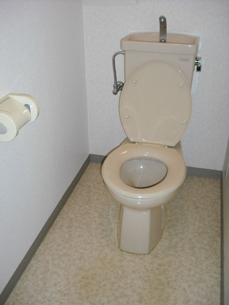 Other. Toilet