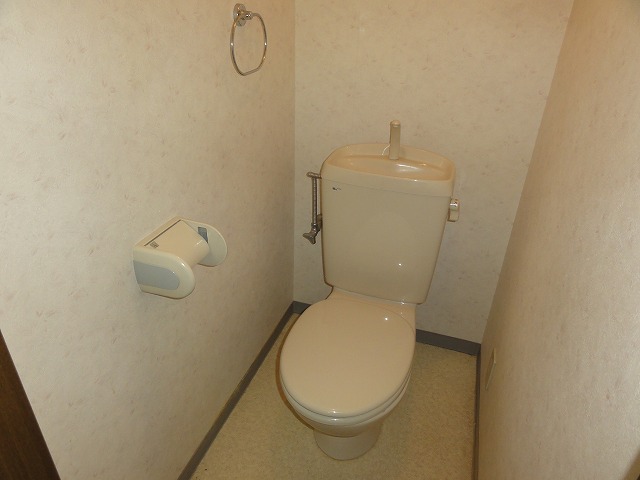 Toilet. Toilet (by bus toilet)