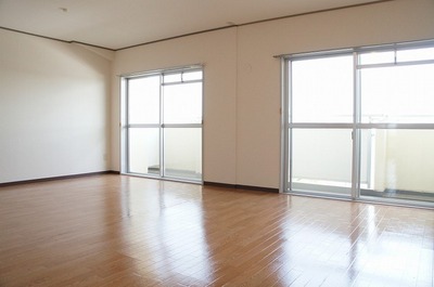 Living and room. Bright ~
