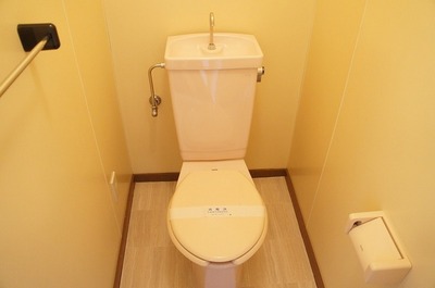 Toilet. Western-style toilet