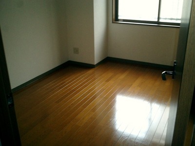 Living and room. Flooring of Western-style